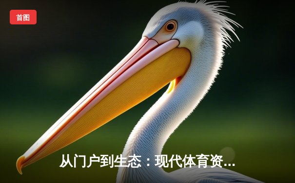 从门户到生态：现代体育资讯网的变革与挑战